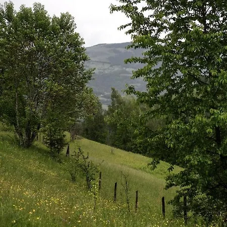 Lodge Codrul Alb *