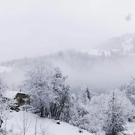 Codrul Alb Lodge Arada