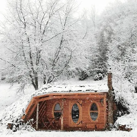 Lodge Codrul Alb *